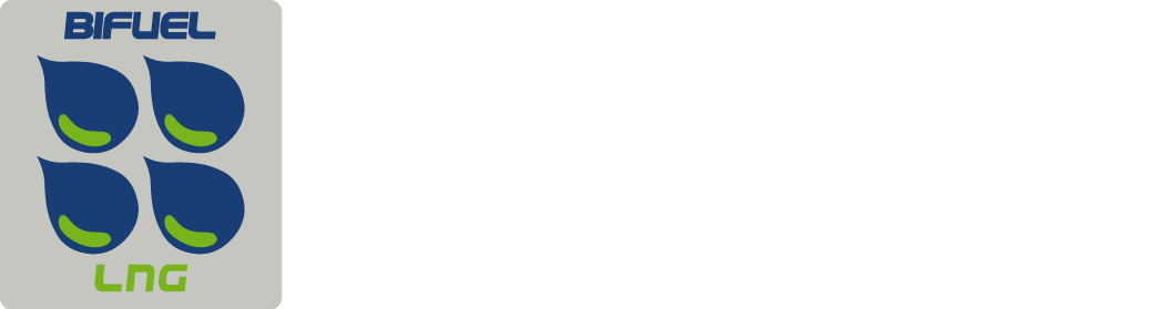Blue Fuel S.r.l.
